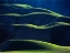 Picture of RHYTHM