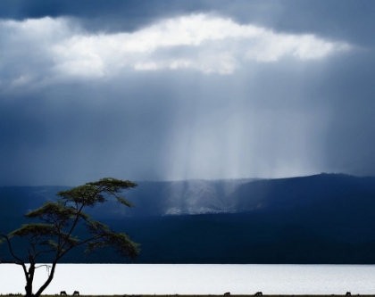 Picture of CLOUDS OVER LAKE NAIVASHA