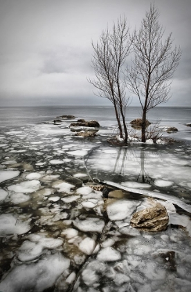 Picture of FROZEN LAKE