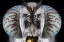 Picture of SOLDIER FLY