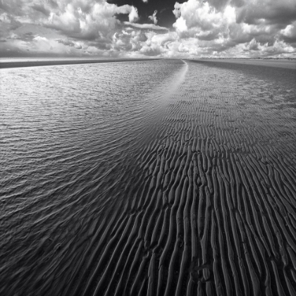 Picture of OCEAN A CLOUDS