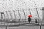 Picture of RAINY DAY