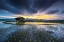 Picture of LIGHT IN RICE