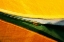 Picture of BOAT