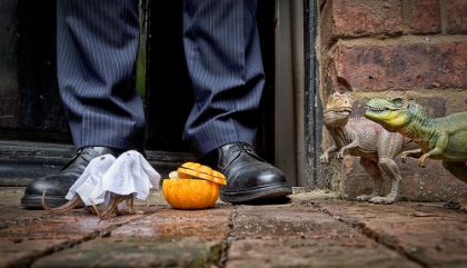 Picture of TRICK OR TREAT - ROARY A SID TOOK WAIF A STRAY OUT TRICK OR TREATING AS A DISTRACTION TACTIC