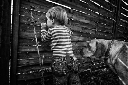 Picture of THE WORLD FROM BEHIND THE FENCE