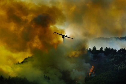 Picture of CANADAIR AIRCRAFT IN ACTION - FIGHTING FOR THE SALVATION OF THE FOREST.