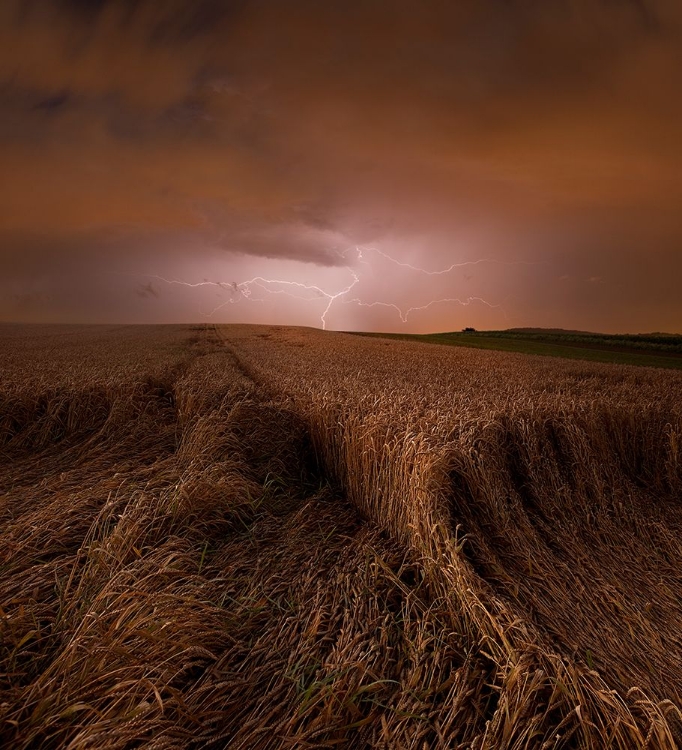 Picture of MORNING STORM