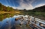 Picture of ENGLAND
