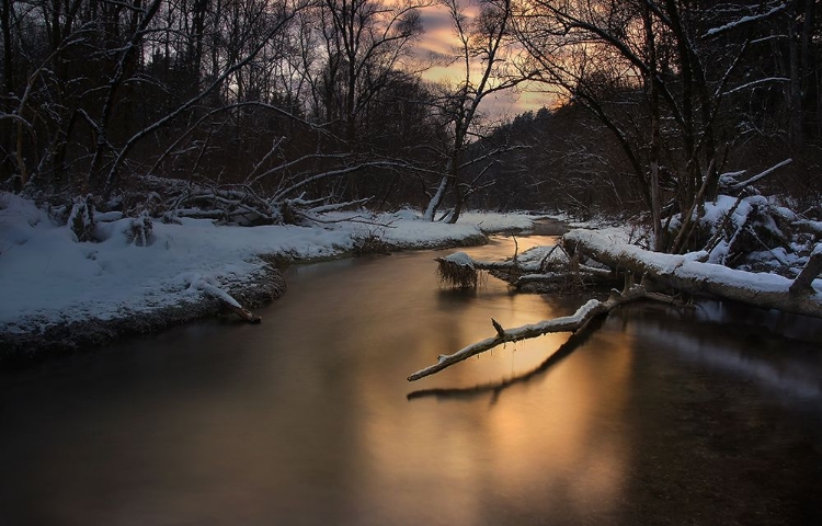 Picture of WINTER LIGHT