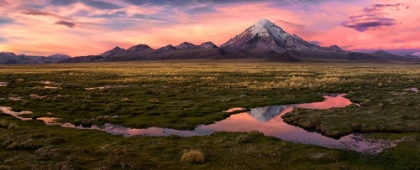 Picture of SAJAMA