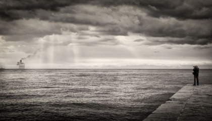 Picture of THE PHOTOGRAPHER AND THE SEA