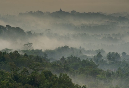Picture of TEMPLE IN THE MIST