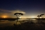 Picture of MOONRISE
