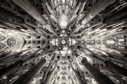 Picture of ARTIFICIAL FOREST - SAGRADA FAMILIA