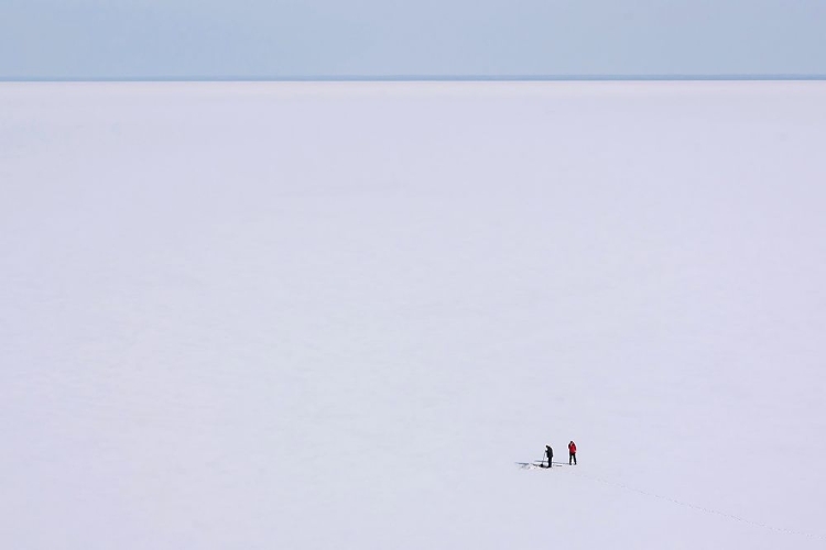 Picture of FISHING