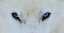 Picture of MIRADA AZUL