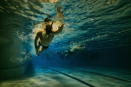 Picture of NIGHT SWIMMER