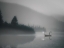 Picture of THE PILGRIM MISTS
