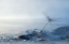 Picture of A BLUE MORNING