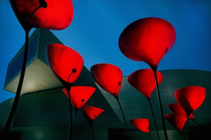 Picture of MAXXI  MUSEUM