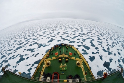 Picture of SMILE! YOUA#039;RE IN THE ARCTIC!