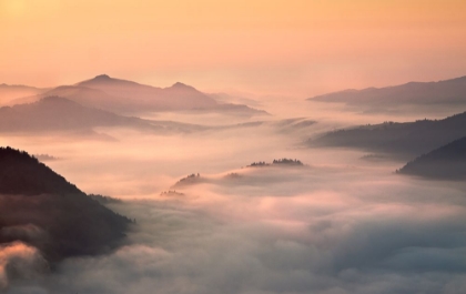 Picture of FOGGY MORNING IN THE MOUNTAINS