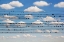 Picture of CANTUS ARCTICUS - CONCERTO FOR BIRDS