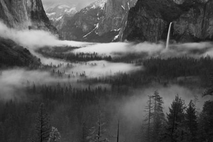 Picture of FOG FLOATING IN YOSEMITE VALLEY