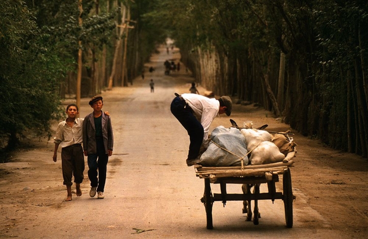 Picture of ROAD TO KASHGAR