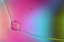 Picture of IS HEADING