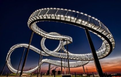Picture of TIGER AND TURTLE AT DAWN