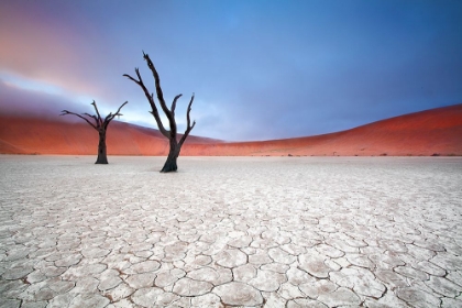 Picture of MIST OVER DEADVLEI