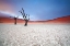 Picture of MIST OVER DEADVLEI