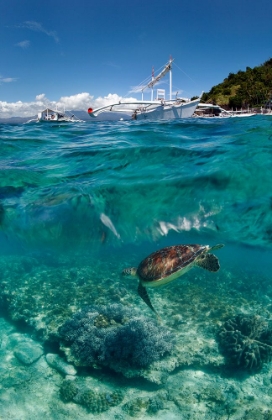 Picture of DIVE TO PHILIPPINES