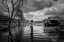 Picture of ALONE