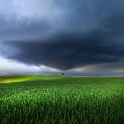 Picture of THUNDERSTORM CELL OVER THE ALB PLATEAU