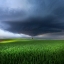 Picture of THUNDERSTORM CELL OVER THE ALB PLATEAU