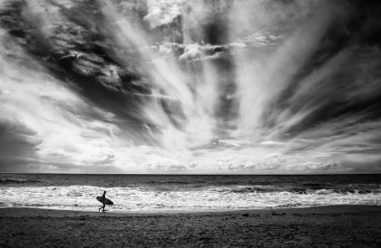 Picture of THE LONELINESS OF A SURFER