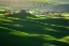 Picture of GREEN WAVES...