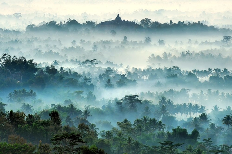 Picture of MISTY BOROBUDUR