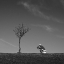 Picture of INSPIRATION