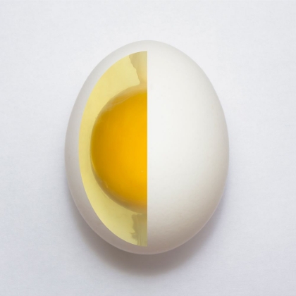 Picture of INNER EGG