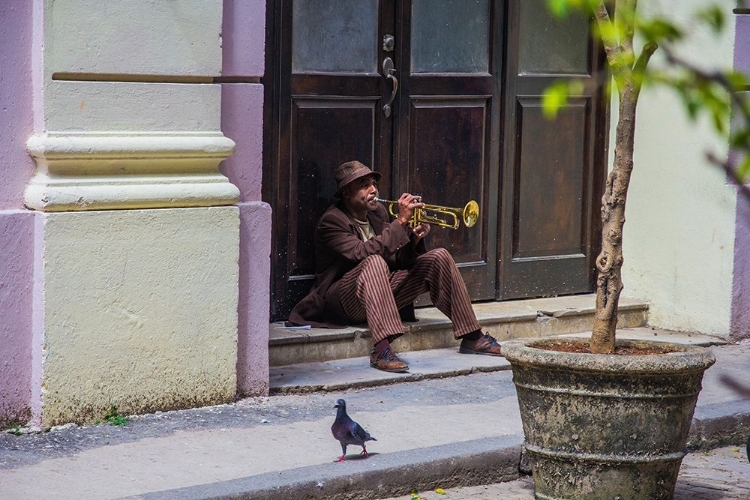 Picture of PLAYING FOR PIGEONS