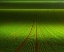Picture of NOVEMBER GREEN