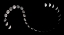 Picture of MOON PATH