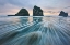 Picture of WILD WEST COAST