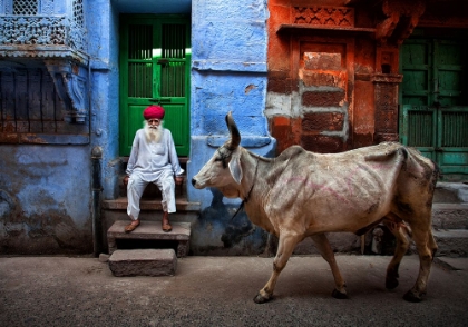 Picture of INDIA
