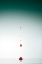 Picture of EVOLUTION OF WATERDROPS - 1