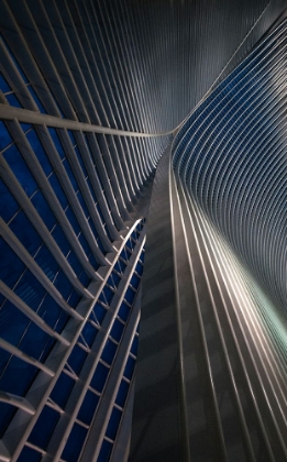 Picture of CALATRAVA LINES AT THE BLUE HOUR